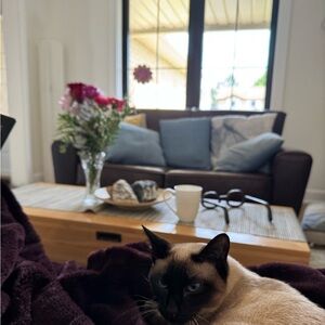 Meet your Posher, Nadia